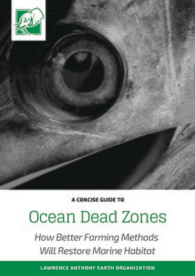 OCEAN DEAD ZONES - DOWNLOADABLE