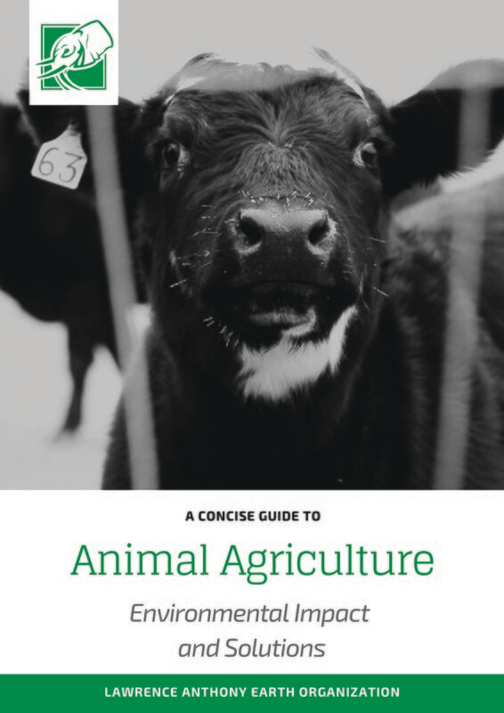 ANIMAL AGRICULTURE - DOWNLOADABLE