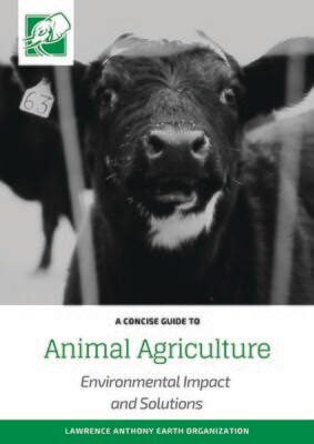 ANIMAL AGRICULTURE - DOWNLOADABLE