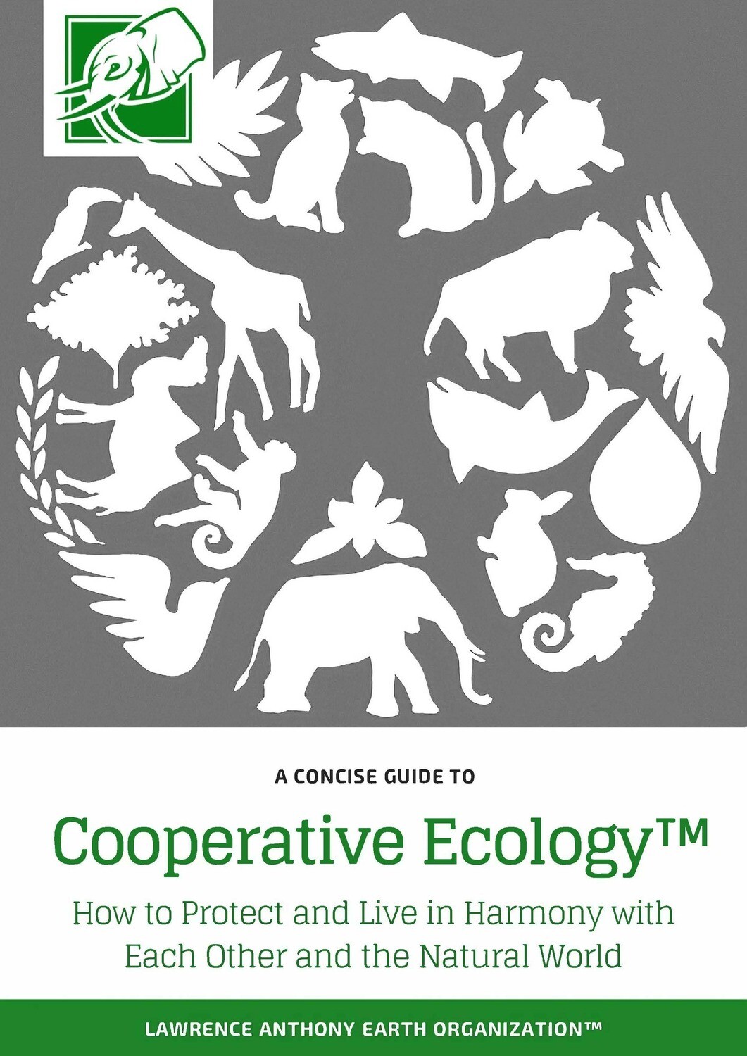 WORLD RESTORATION BOOK SERIES - DOWNLOADABLE