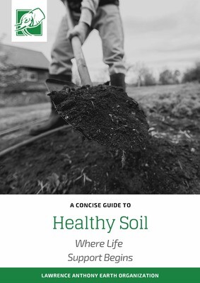 HEALTHY SOIL - WHERE LIFE SUPPORT BEGINS - DOWNLOADABLE