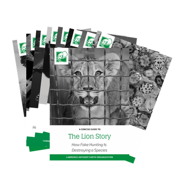 WORLD RESTORATION BOOK SERIES - DOWNLOADABLE