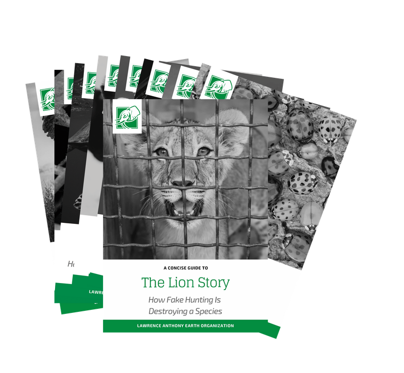 WORLD RESTORATION BOOK SERIES - DOWNLOADABLE