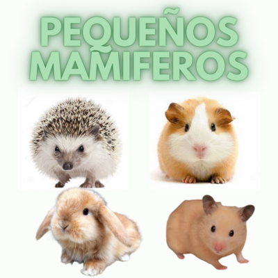 Pequeños Mamiferos