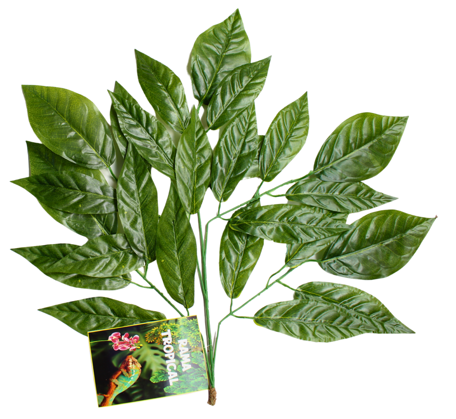 RAMA TROPICAL-A