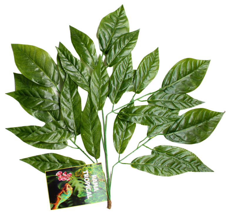 RAMA TROPICAL-A