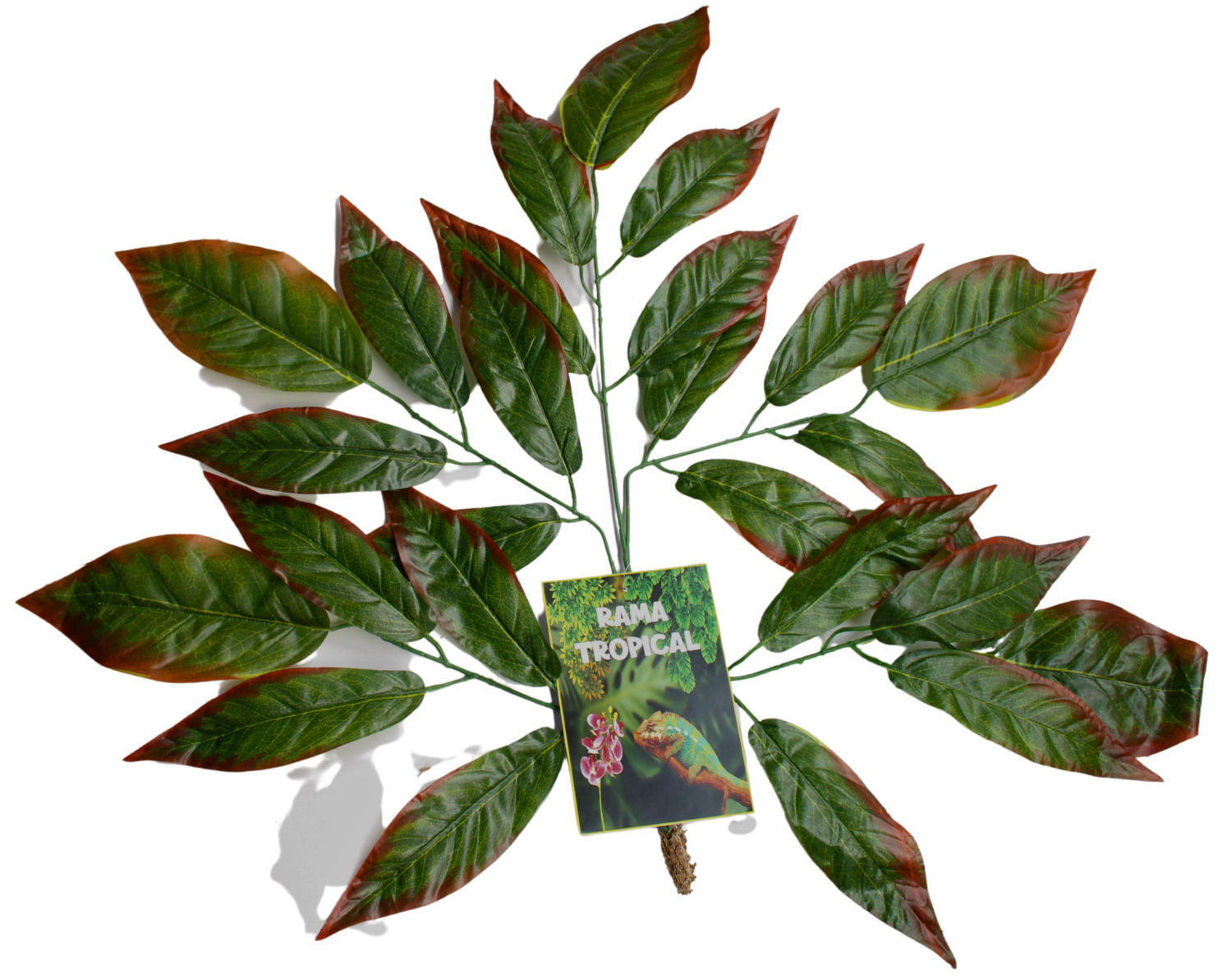 RAMA TROPICAL-C