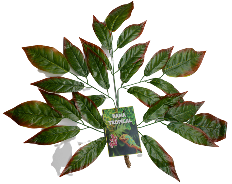 RAMA TROPICAL-C