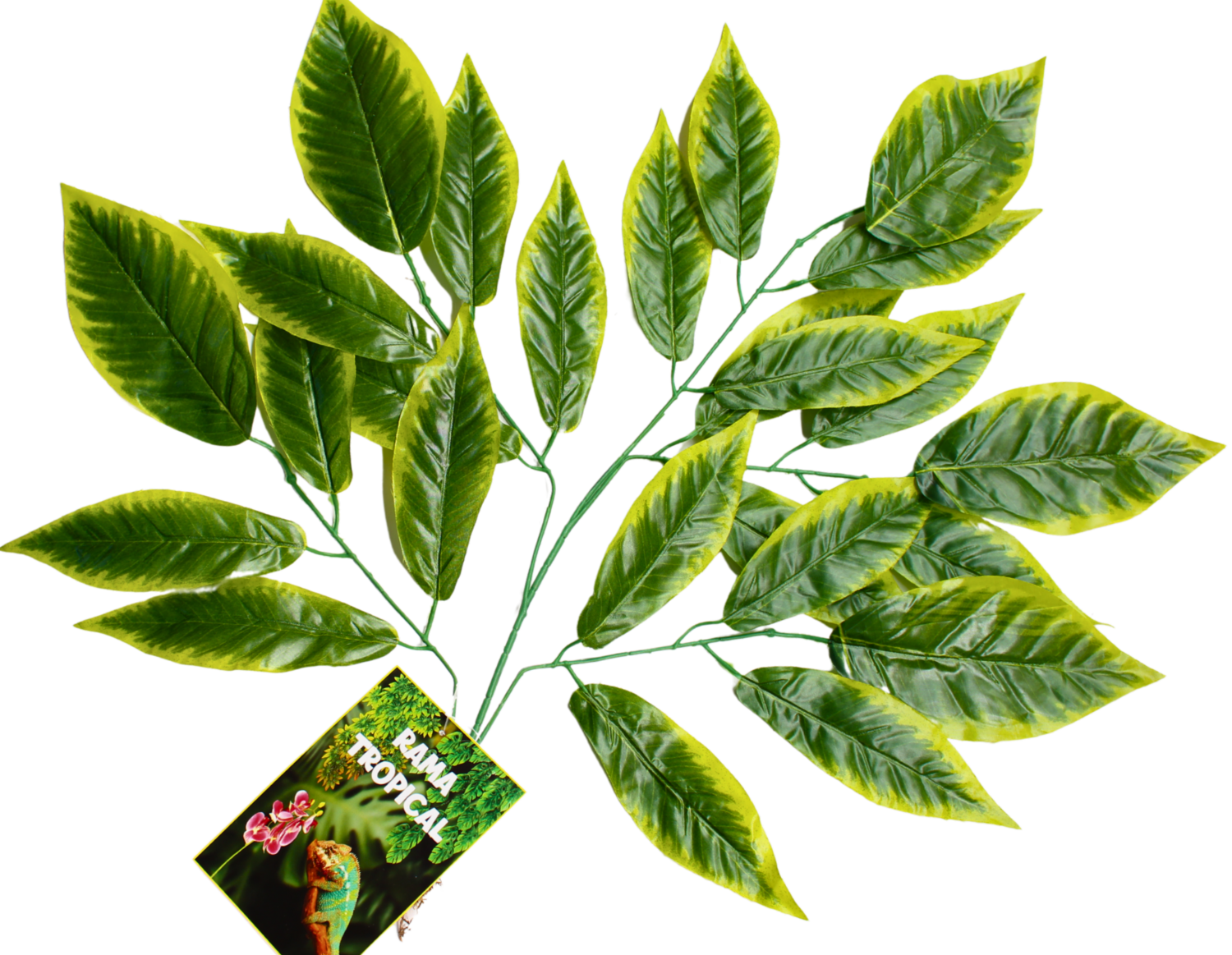 RAMA TROPICAL-D