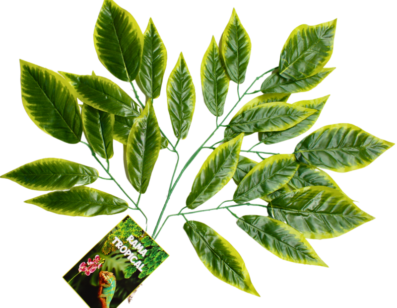 RAMA TROPICAL-D