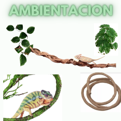 Ambientación
