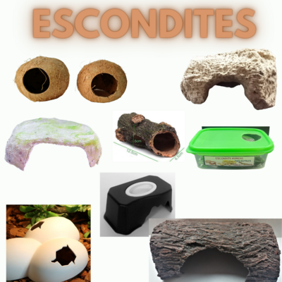 Escondites