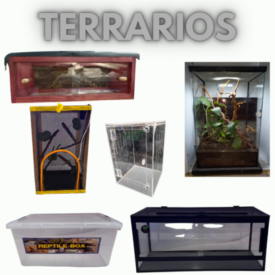 Terrarios