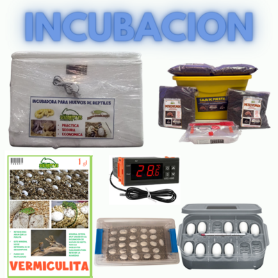 Incubación