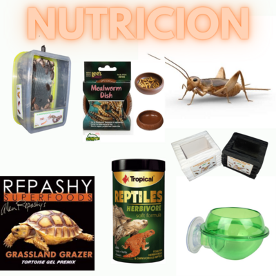 Nutrición