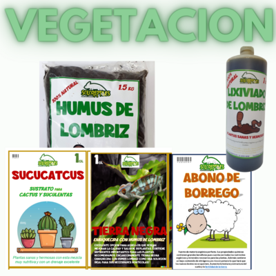 Vegetacion