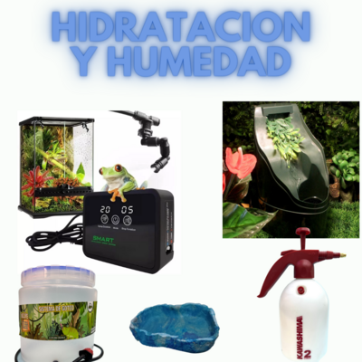 Hidratacion y humedad
