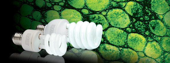 FOCO UVB 100 5.0 26W ESPECIES TROPICALES