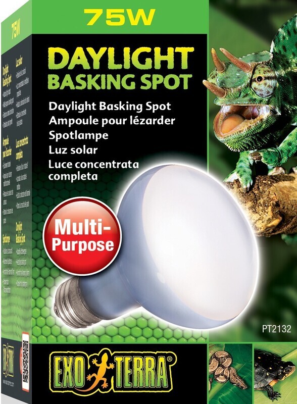 FOCO DAY LIGHT 75W (CALOR DE DIA)