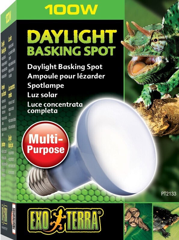 FOCO DAY LIGHT 100W (CALOR DE DIA)