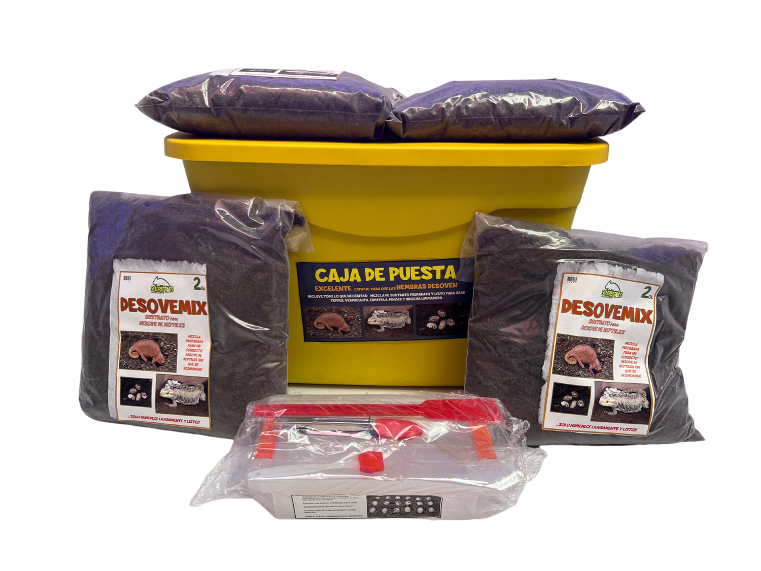 CAJA DE PUESTA