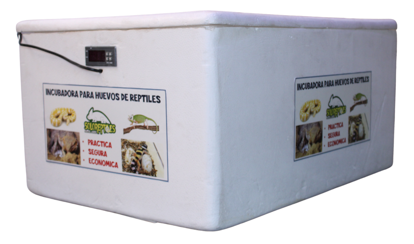 INCUBADORA PARA HUEVOS DE REPTILES