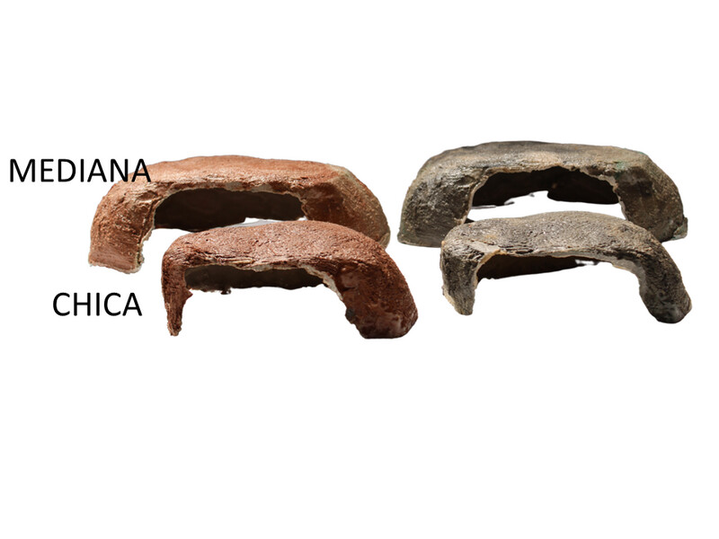 ESCONDITE CUEVA MEDIANA