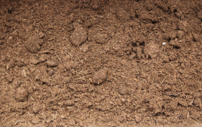 PEAT MOSS 1GL