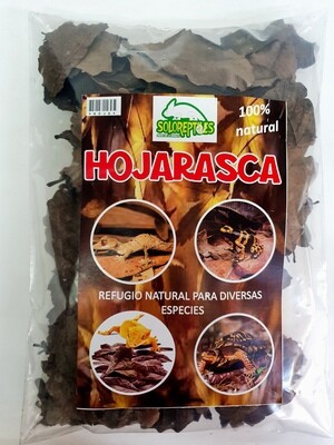 HOJARASCA