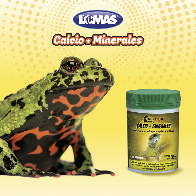 CALCIO+MINERALES