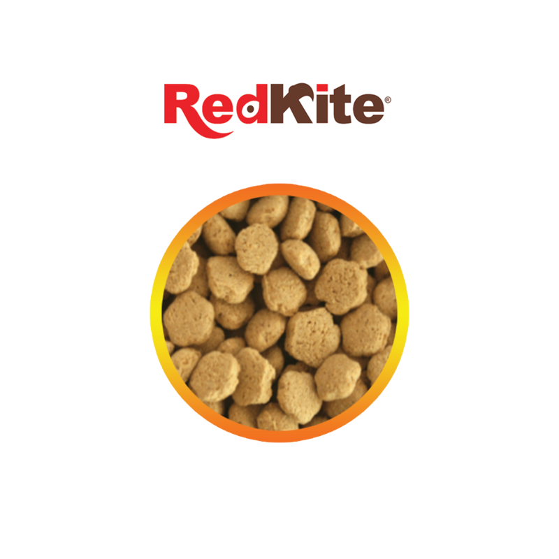 ALIMENTO PARA HAMSTER 450gr