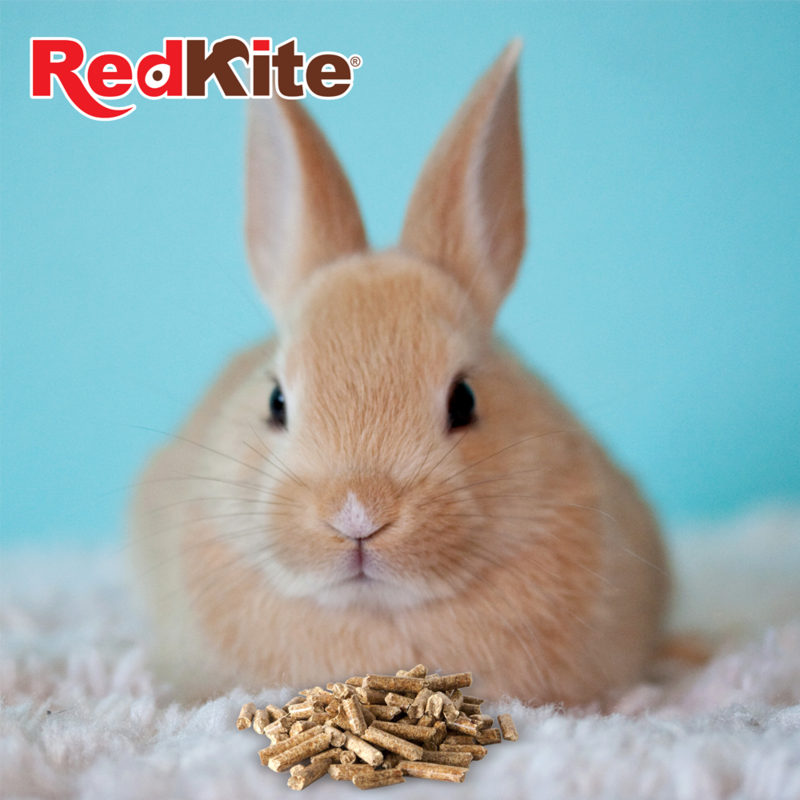 ALIMENTO PARA CONEJO 1.2KG