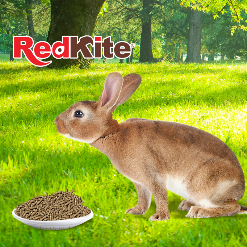 ALIMENTO PARA CONEJO 1kg
