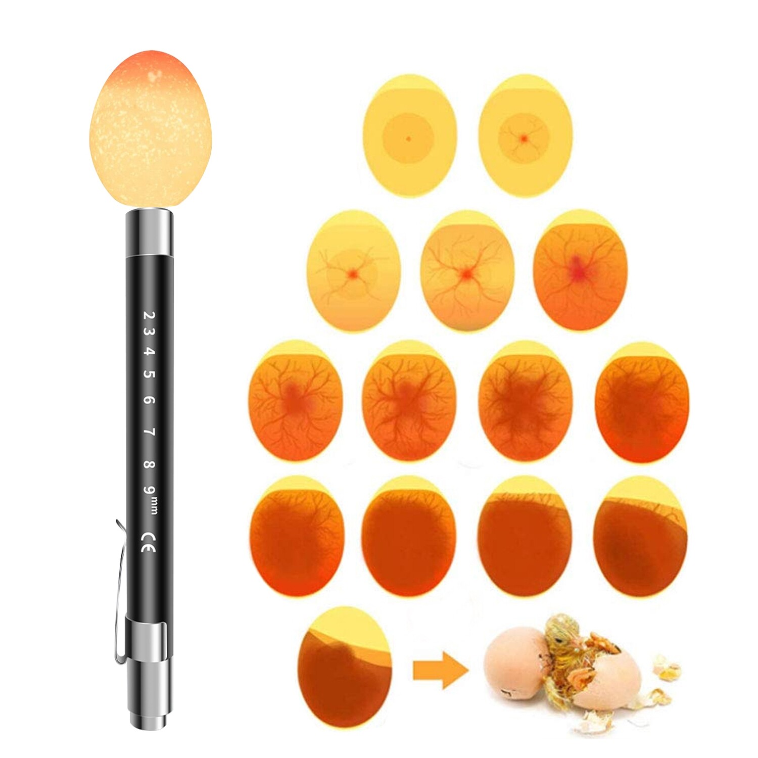 LAMPARA NEGRA LED PARA REVISAR HUEVOS FERTILES