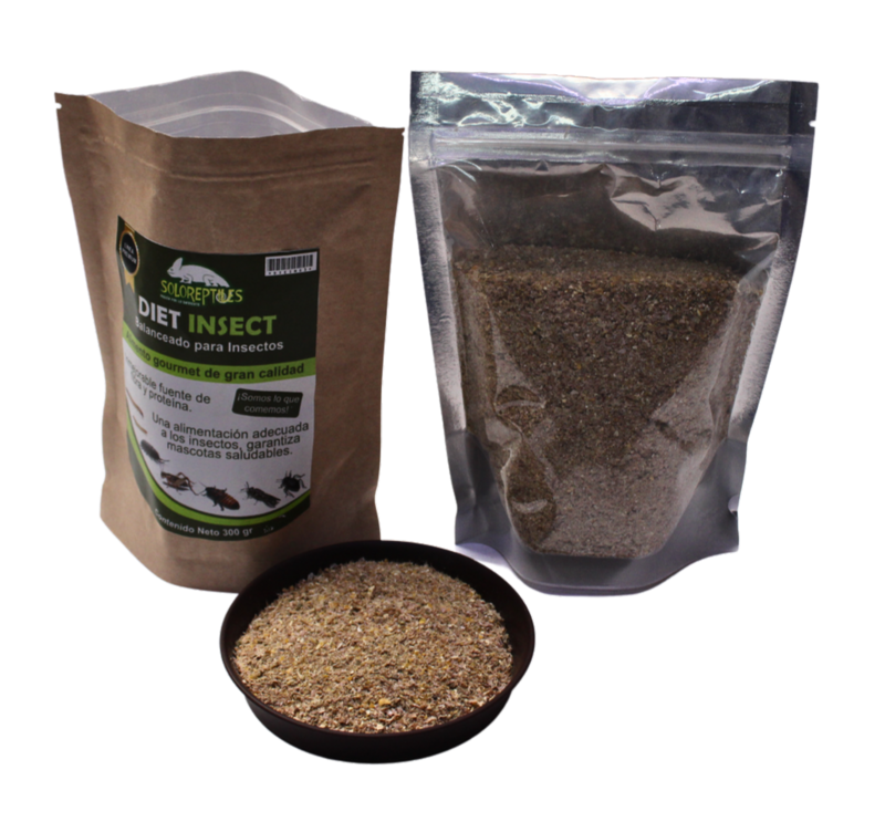 CUCARACHA MADAGASCAR 10pz MEDIANAS