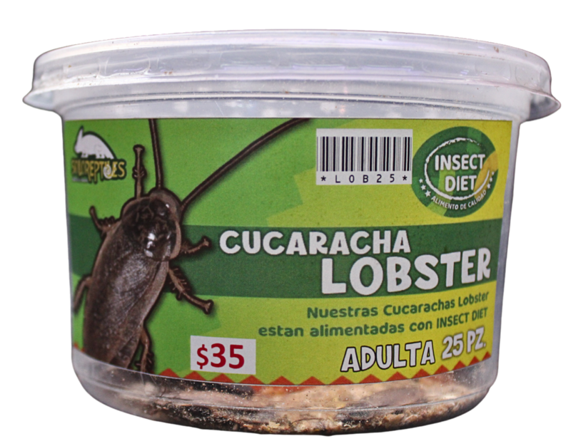 CUCARACHA LOBSTER 25pz ADULTAS
