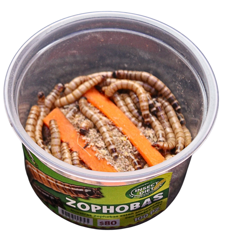 ZOPHOBA 100pz