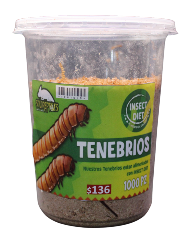 TENEBRIO 1000pz