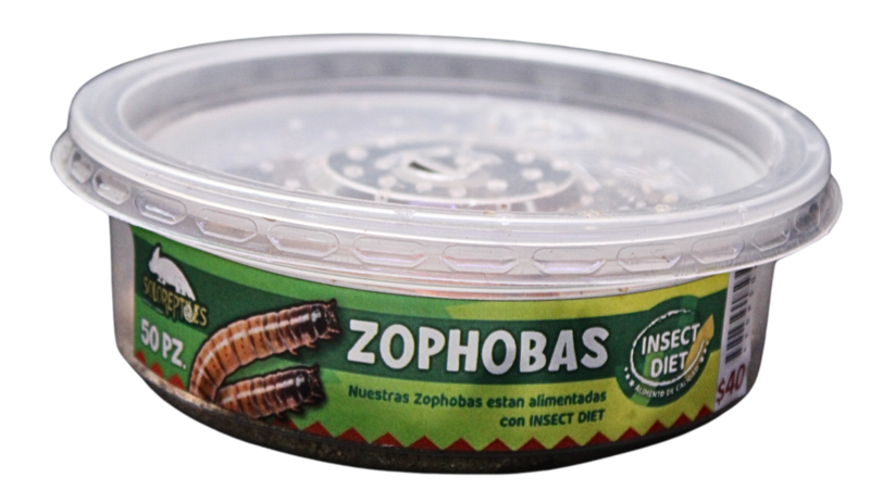 ZOPHOBA 50pz