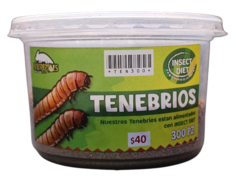 TENEBRIO 300pz