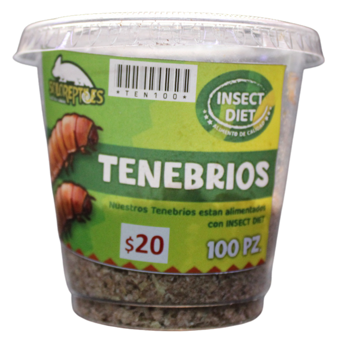 TENEBRIO 100pz