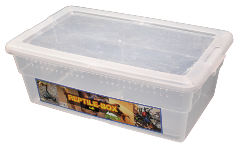 REPTIL BOX GRANDE
