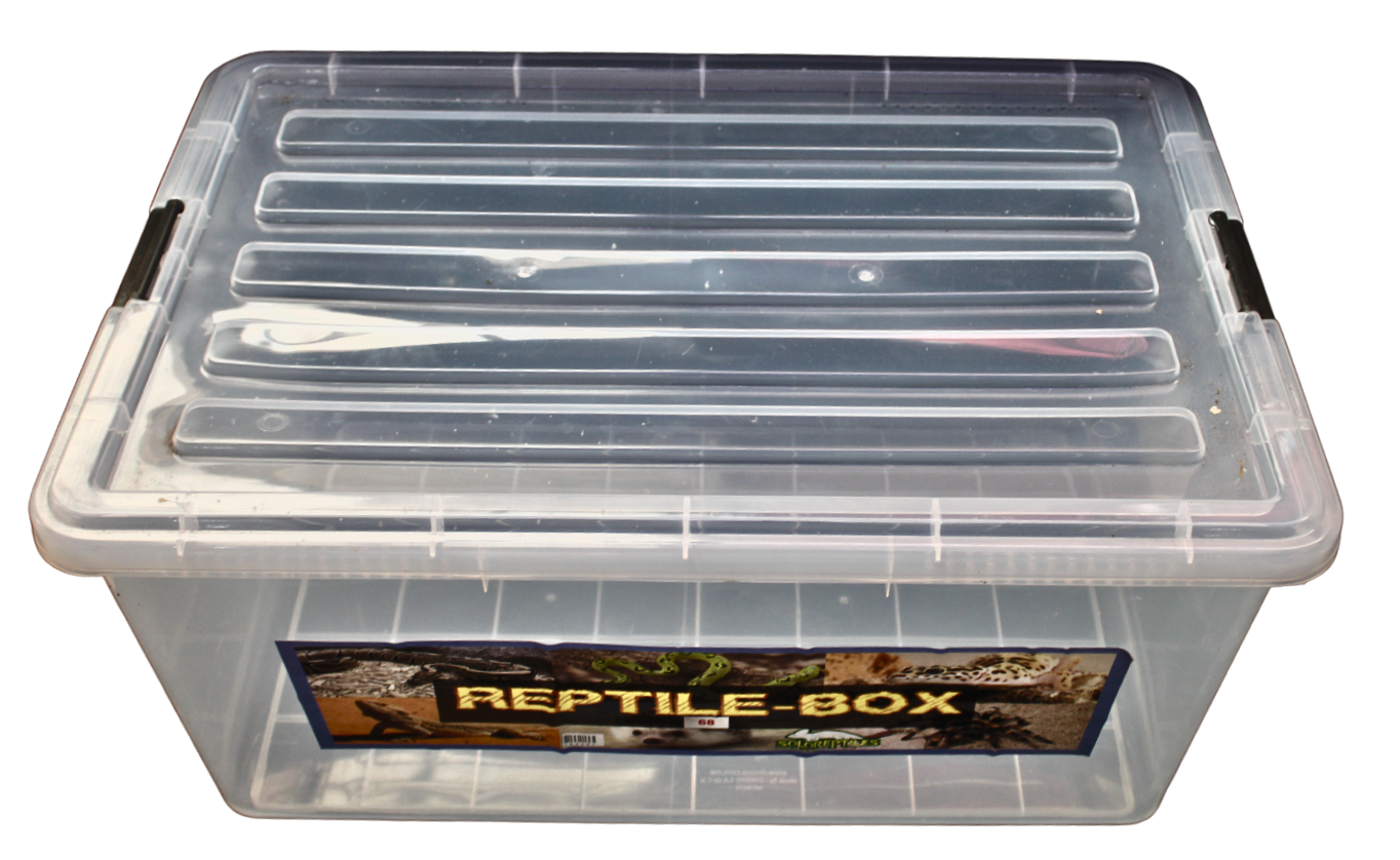 REPTIL BOX 68