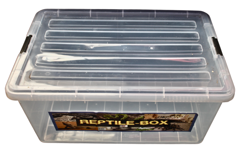 REPTIL BOX 68
