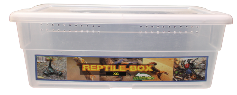 REPTIL BOX EXTRA GRANDE