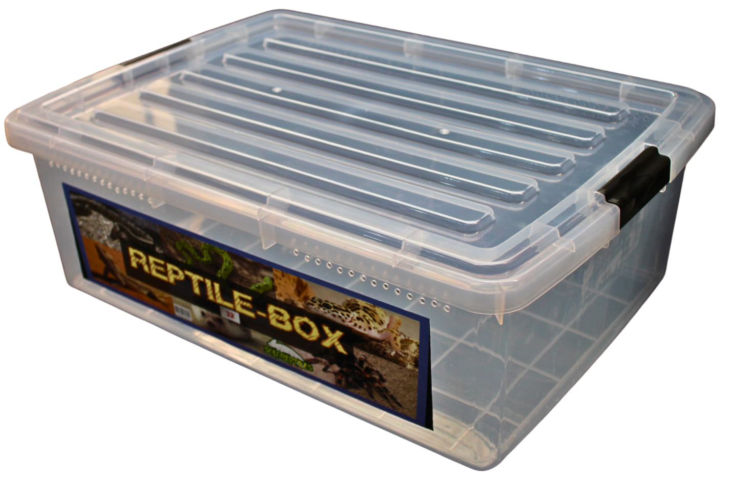 REPTIL BOX 32