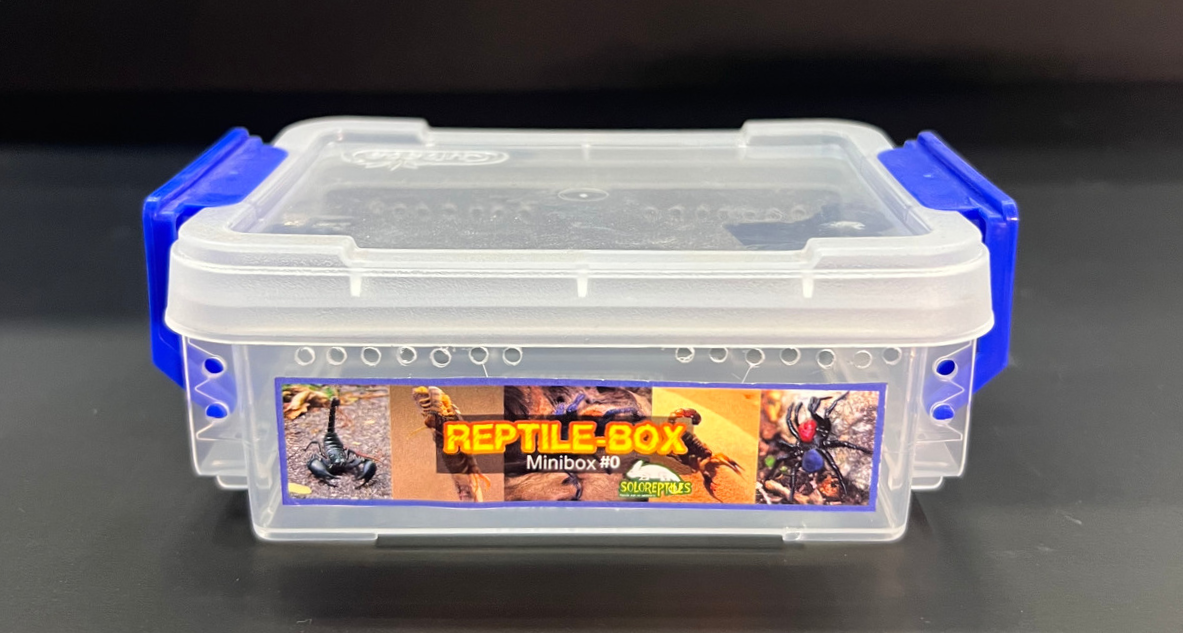 REPTIL BOX MINIBOX 0
