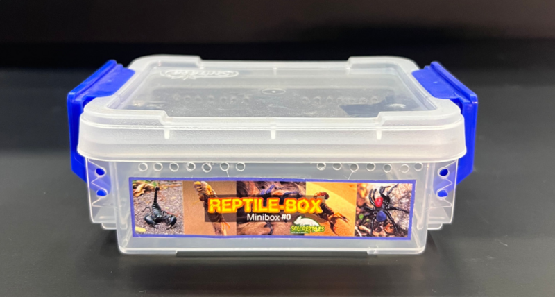 REPTIL BOX MINIBOX 0