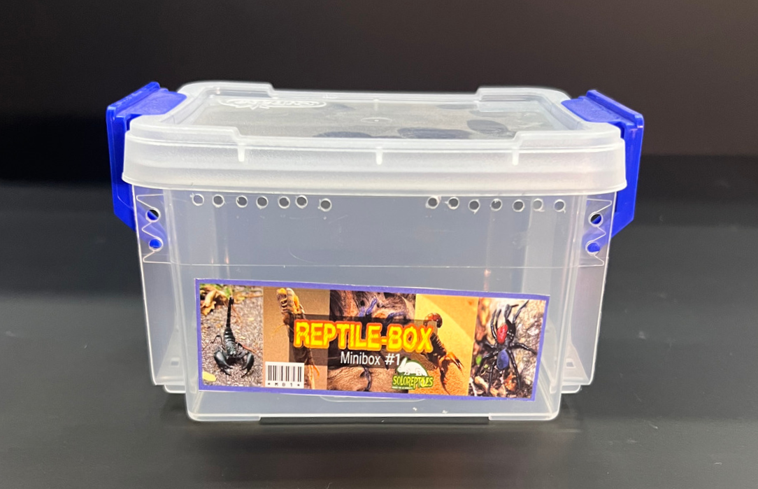 REPTIL BOX MINIBOX 1