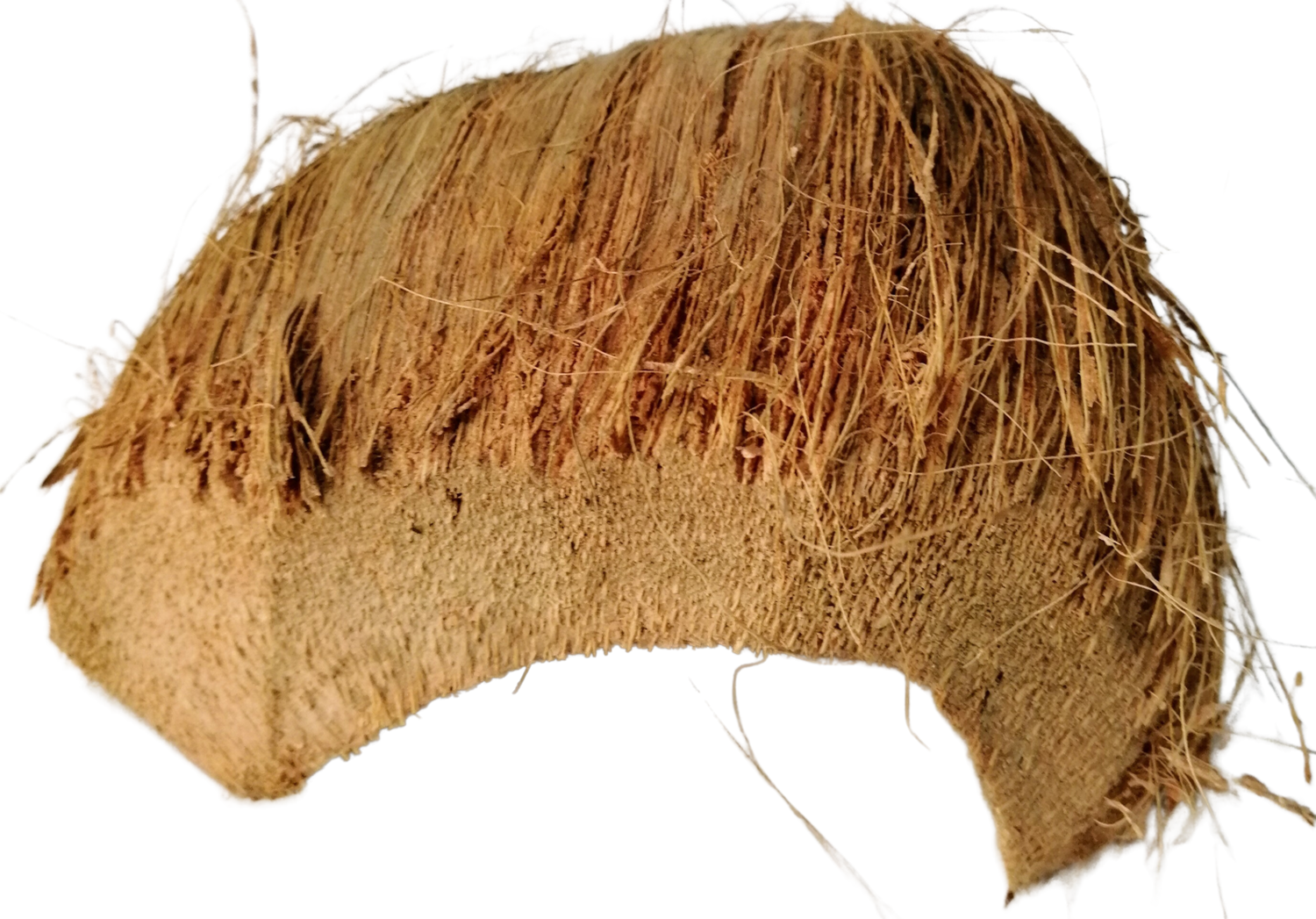 ESCONDITE MEDIO COCO SIN CASCARA